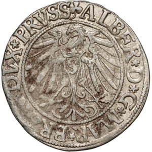 Prusy Książęce, Albrecht Hohenzollern, grosz 1543, Królewiec