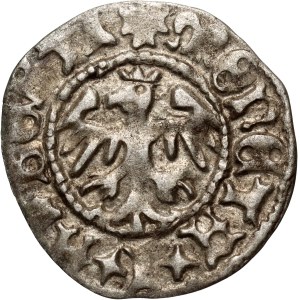 Jan Olbracht 1492-1501, półgrosz bez daty, Kraków