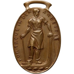 Germany, Plauen Chamber of Commerce medal, For dedication at work, Goetz