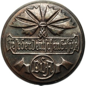 Germany, Third Reich, VDA commemorative badge for the German school festival