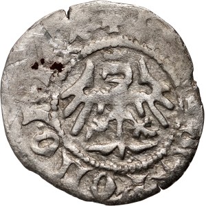 Władysław Jagiełło 1386–1434, Halbgroschen, Krakau, Signatur AS