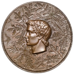 France, medal from 1968, participant of the Winter Olympics in Grenoble