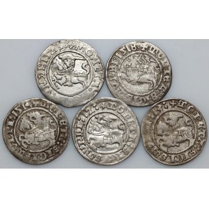 Sigismund I. der Alte, Halbegroschen-Set, Vilnius, (5 Stück)