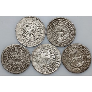 Sigismund I. der Alte, Halbegroschen-Set, Vilnius, (5 Stück)