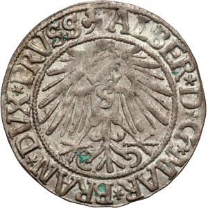 Duchy of Prussia, Albrecht Hohenzollern, grosz, 1543, Königsberg