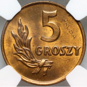 Volksrepublik Polen, 5 Groszy 1949, PROBE, Messing
