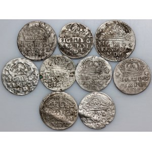 Sigismund III. Wasa, Groschen-Set (9 Stück)