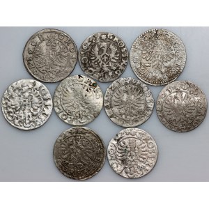 Sigismund III. Wasa, Groschen-Set (9 Stück)