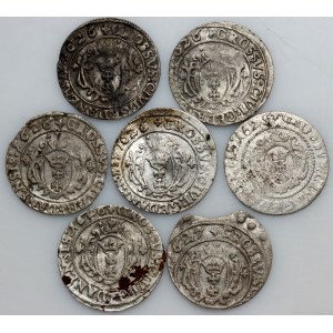 Sigismund III Vasa, set of groszy from 1625–1627, Vilnius, (7 pieces)