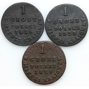 Kongresskönigreich, Alexander I., Satz polnischer Groschen aus heimischem Kupfer aus den Jahren 1823–1825, Warschau (3 Stück)