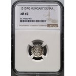 Hungary, Władysław II Jagiellon, denar 1515 KG, Kremnica