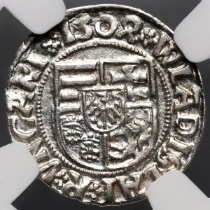 Ungheria, Ladislao II Jagellone, denaro del 1504 KH, Kremnica