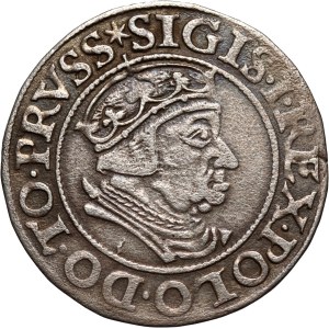 Sigismund I the Old, grosz, 1538, Gdańsk