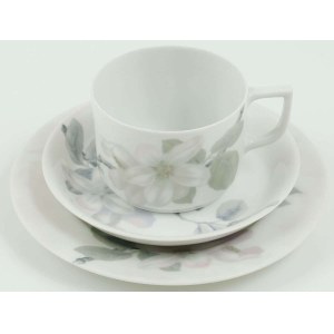 ZESTAW ŚNIADANIOWY ELSE POMONA, Niemcy, Rosenthal, 1906, 1930