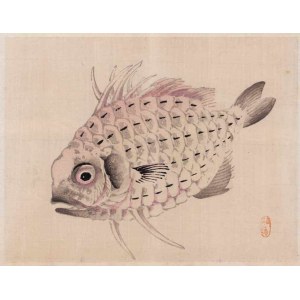 Kōno BAIREI