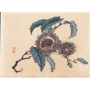 Kōno BAIREI
