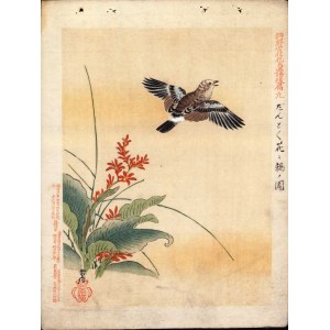 Kano TSUNENOBU