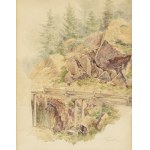BEDŘICH HAVRÁNEK (CZECH / BOHEMIAN 1821 - 1899) - Wooden Mill Race