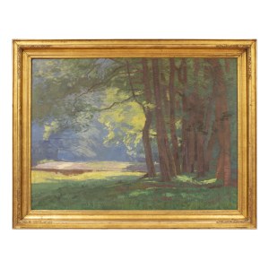 ROMAN HAVELKA (CZECH / BOHEMIAN 1877 - 1950) - View from Podyjí (large format)