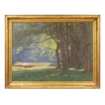 ROMAN HAVELKA (CZECH / BOHEMIAN 1877 - 1950) - View from Podyjí (large format)