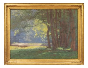 ROMAN HAVELKA (CZECH / BOHEMIAN 1877 - 1950) - View from Podyjí (large format)