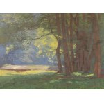 ROMAN HAVELKA (CZECH / BOHEMIAN 1877 - 1950) - View from Podyjí (large format)