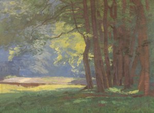 ROMAN HAVELKA (CZECH / BOHEMIAN 1877 - 1950) - View from Podyjí (large format)