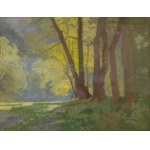 ROMAN HAVELKA (CZECH / BOHEMIAN 1877 - 1950) - Sunlit Landscape