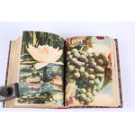 Plon. Illustrated monthly agricultural and horticultural magazine. Under the chief editorship of Eng. Peter Tereszczenko. Yearbook 1938. issues 1-12. year V. Chorzow.