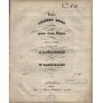 [GABRIELSKI J. W.] Trois Grands Duos concertans pour deux Flutes compose et dedies a son ami A.B.Furstenau par W.Gabrielski : op.100. Pr.2 i 1/3 Rth. Propriete de l