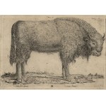[VILNO, From the famous sheet metal collection of Konstanty Tyszkiewicz] Lithuanian bison. Print from around mid-19th century.