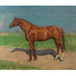 Jerzy Rupniewski (1888 Warszawa-1950 Świecie), Portret konia