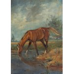 Tadeusz Kokietek (1920-1982), Koń u wodopoju, 1942 r.