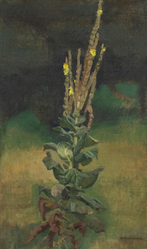 Michał Bylina (1904-1982), Dziewanna, 1926 r.