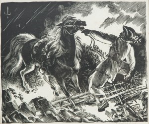 Edmund Ludwik Bartłomiejczyk (1885 Warszawa-1950 tamże), Błyskawica