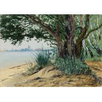 Soter Jaxa Malachowski (1867 - 1952), "View from Orlowo."