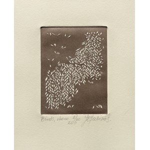 Jolanta Rudzka-Habisiak, Birds, choco, 2011