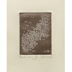 Jolanta Rudzka-Habisiak, Birds, choco, 2011