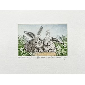 Marian Pawel Bocianowski, Bunnies