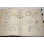 LEYDIG, Franz – The Parietal Organ of Amphibians and Reptiles... Frankfurt, 1897.