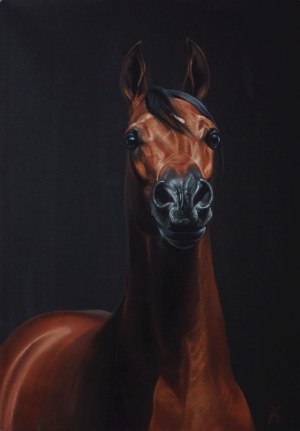 Zbigniew Kotowski, Halimm, 1990