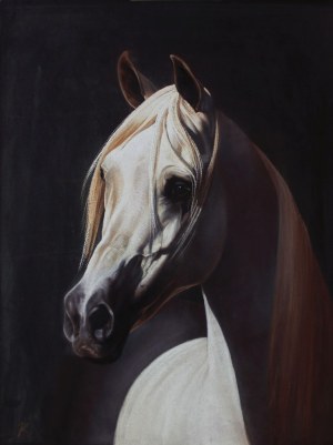 Zbigniew Kotowski, Morafic