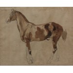 Piotr Michalowski, Study of a horse
