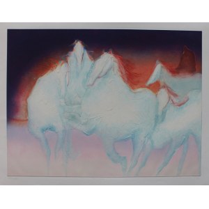 Jean Richardson, Wildfire, 1981