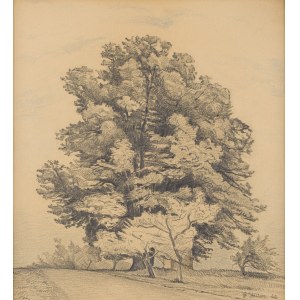 Pawel Steller (1895 Hermanice - 1974 Katowice), Trees by the Road, 1922
