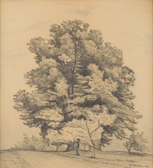 Paweł Steller (1895 Hermanice - 1974 Katowice), Drzewa przy drodze, 1922