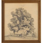 Pawel Steller (1895 Hermanice - 1974 Katowice), Trees by the Road, 1922
