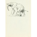 Ludwik MACIĄG (1920-2007), Elephant.