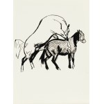 Ludwik MACIĄG (1920-2007), Covering the horse