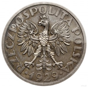 1 złoty 1929, Warszawa; nominał w wieńcu, wypukły napis...